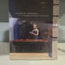 American Paintings Montgomery Musel of fine arts sealed Book B5