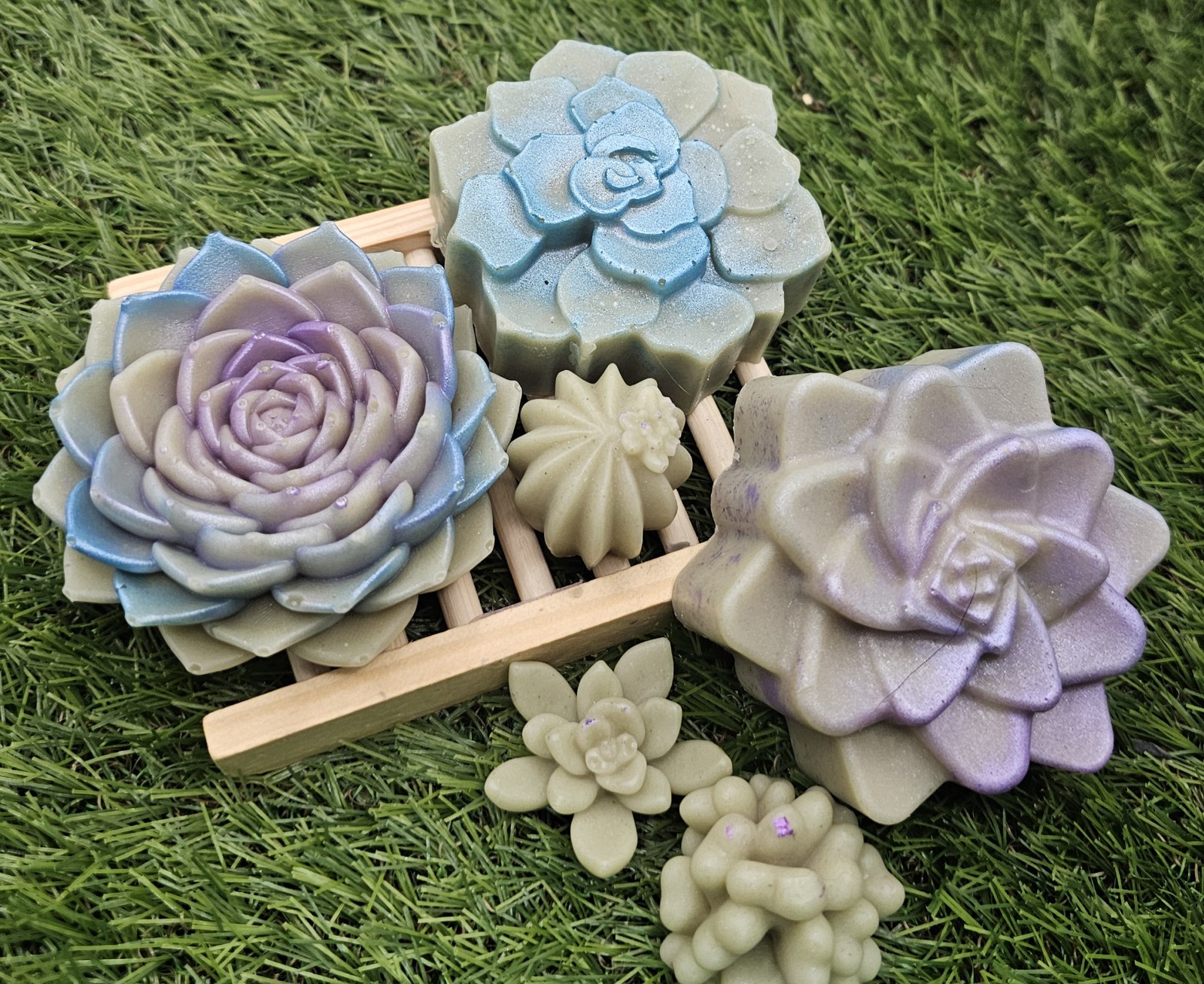 All Natural Succulent Soap Set Teatree Lemongrass