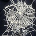 Arach Phobia sweatshirt