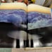 The Seasons of Shinshu