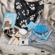 Basic Light Blue Small Breed Puppy/Dog Pack