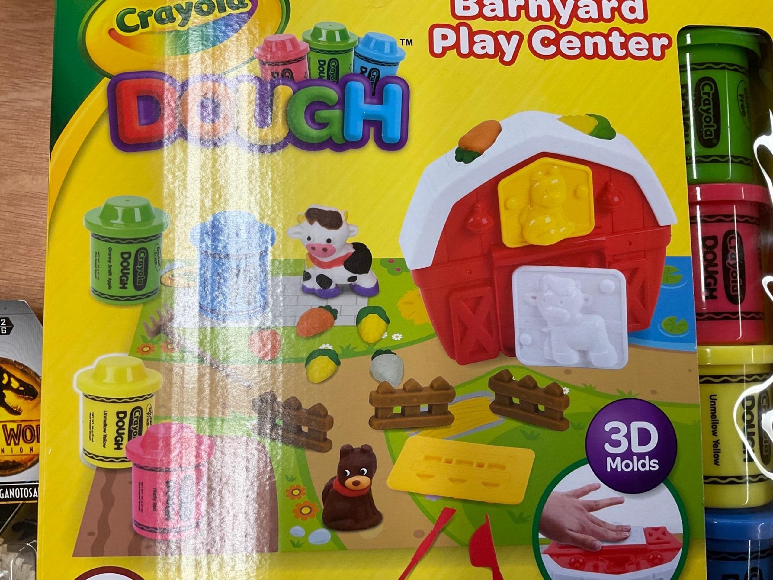 Crayola branyard set