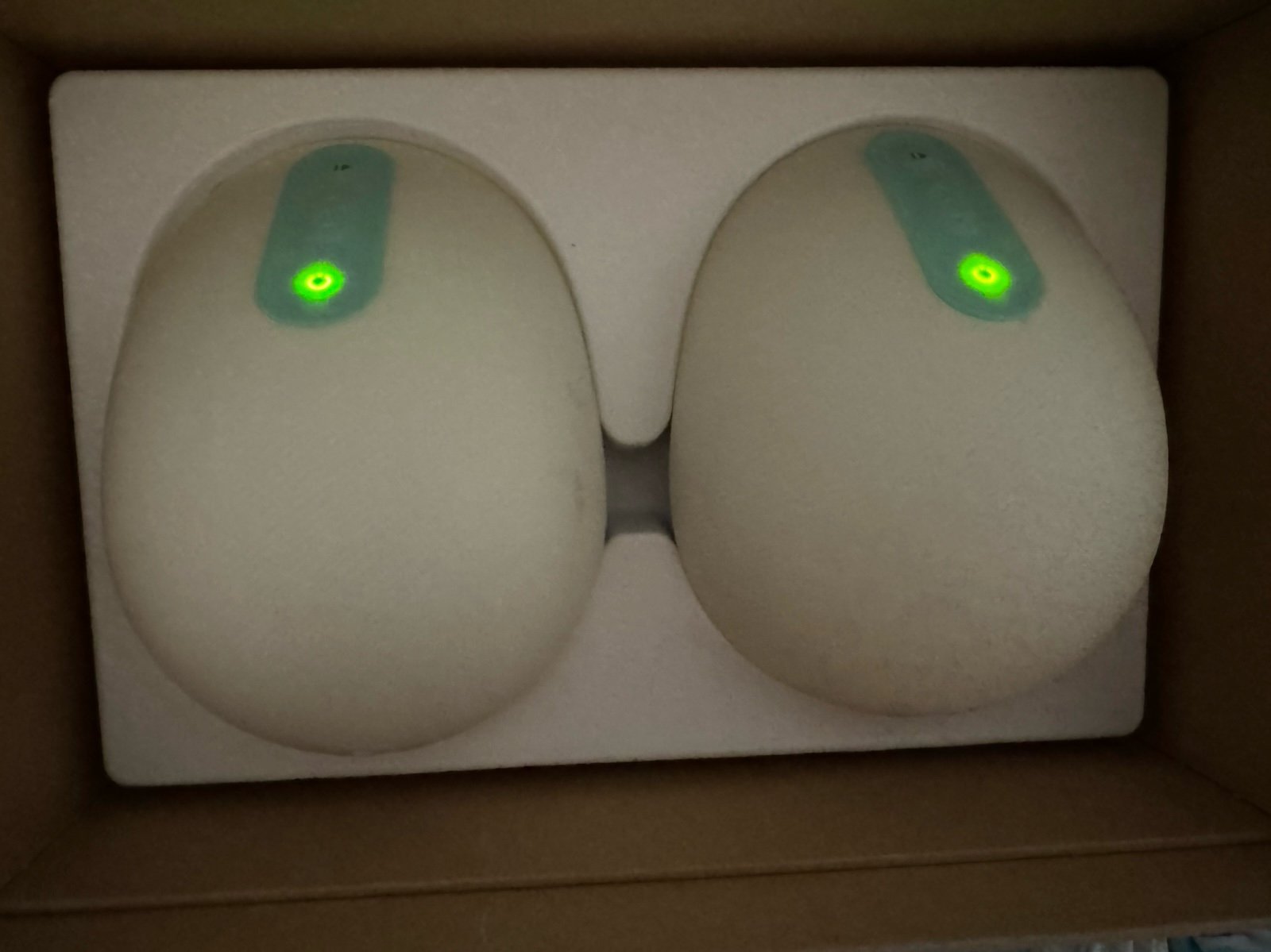 Willow 3.0 Breast Pump