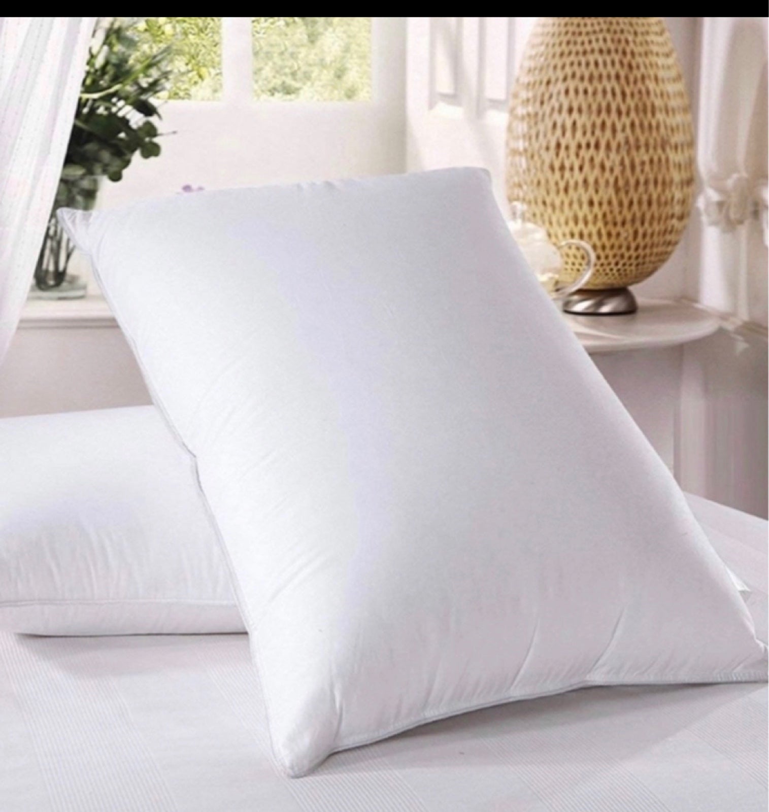 charter Club pillow medium support queen
