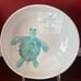 Sigrid Olsen Melamine Blue Turtle Sea Life Beach Cereal/Soup Pasta Bowls-4 Piece