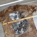 Vintage Blue Brown Tie Dye Train Shirt The Mountain 2003 & 1999 Nature 2XL Lot 2