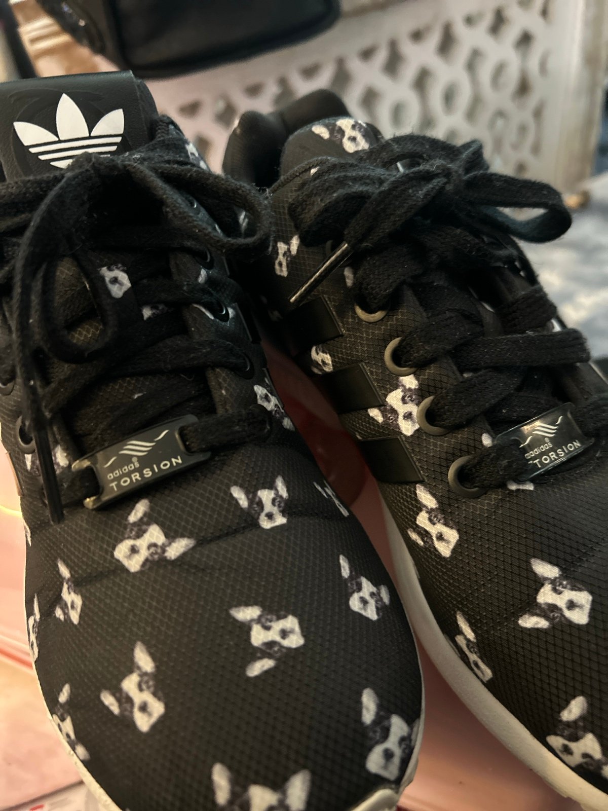 Rita Ora French Bulldog Adidas