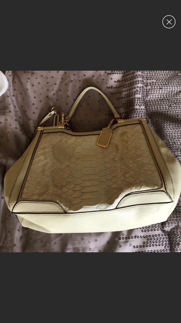 Coach Genuine Snake Skin Purse