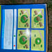 PetSafe wireless fence