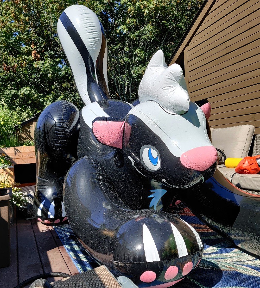 Inflatable World IW Shiny Black Skunk Ride-On Pool Float Toy NIB