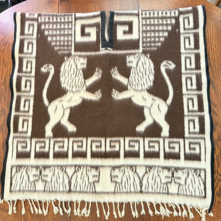 Vintage Reversible Lion Fringe Wool Mexican Blanket Poncho Gaban Wall Hanging