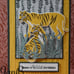 Stampin Up Wildcats Tiger leopard stamp bundle with dies and DSP paper