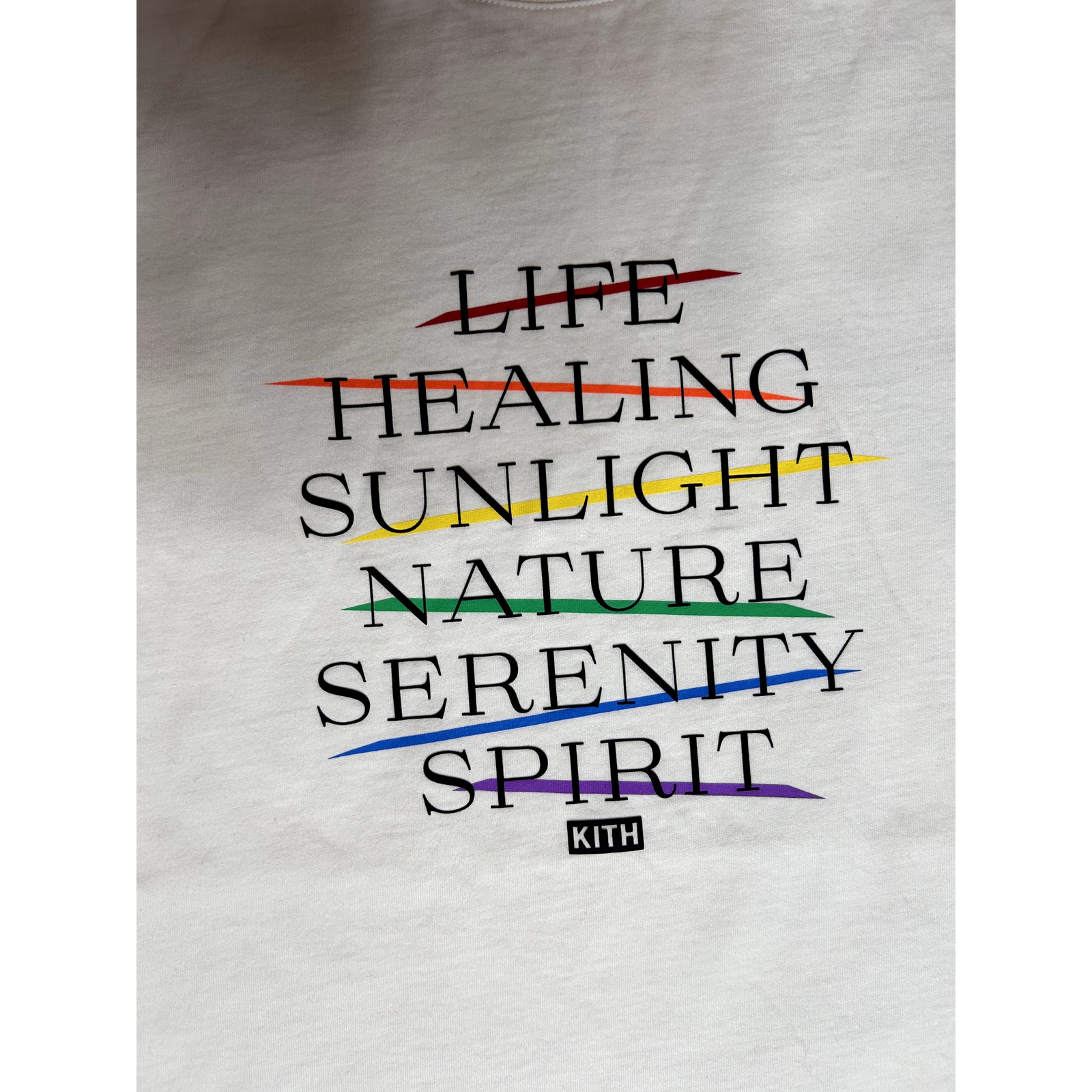 ☆ KITH Pride Meaning tee グラフィックTシャツ ☆ KITH Pride Meaning Tee | Wolf Wall World