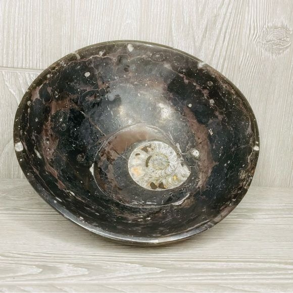 10” fossil granit decoration decorative bowl large sea shell fossil Orthoceras