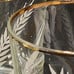 Vintage MCM Libbey Gold & White Wheat Lowball Glass Set of 6, MCM Whiskey Rocks