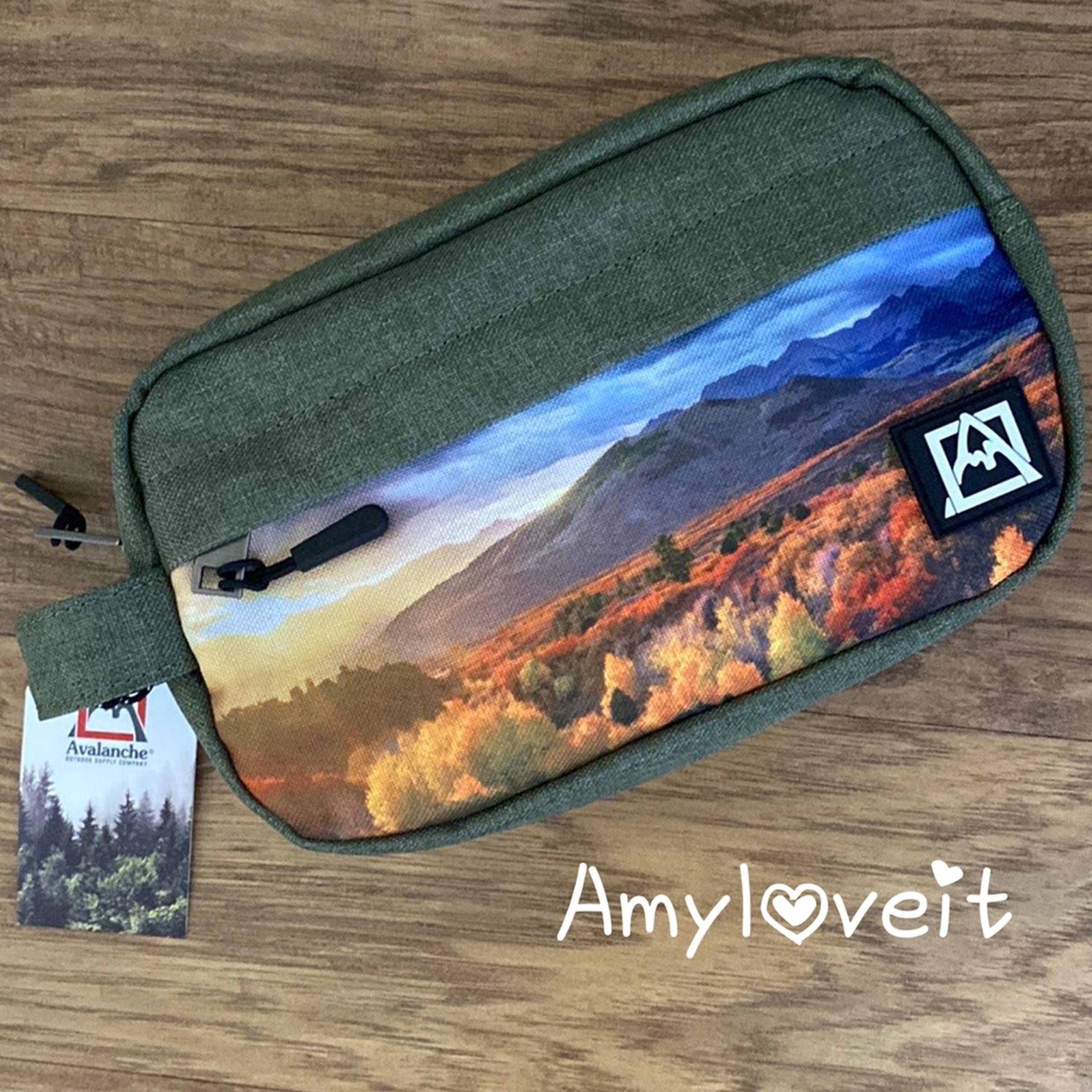 Avalanche Essentials Travel Bag
