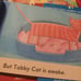 Books stories for early readers