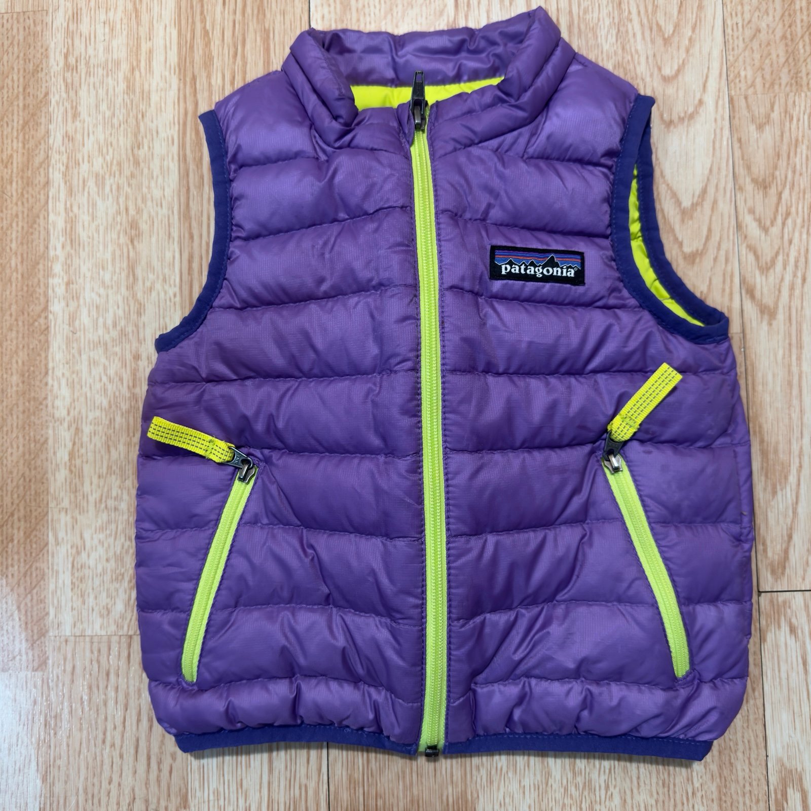 Patagonia Down Vest (size 6-12 months)