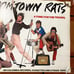 1979 Boomtown Rats Tonic For The Troops Record Store Original Promo Poster 30x20