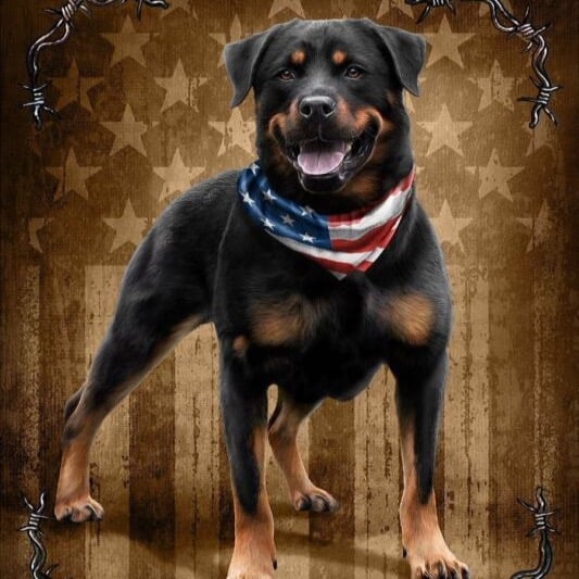 NEW Patriotic To The Bone Rottweiler Dog Blanket 79x94 FREE SHIPPING