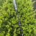Easton ADV 360