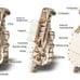 Unique musical instruments, wooden instrument kits, mechanics，-IB