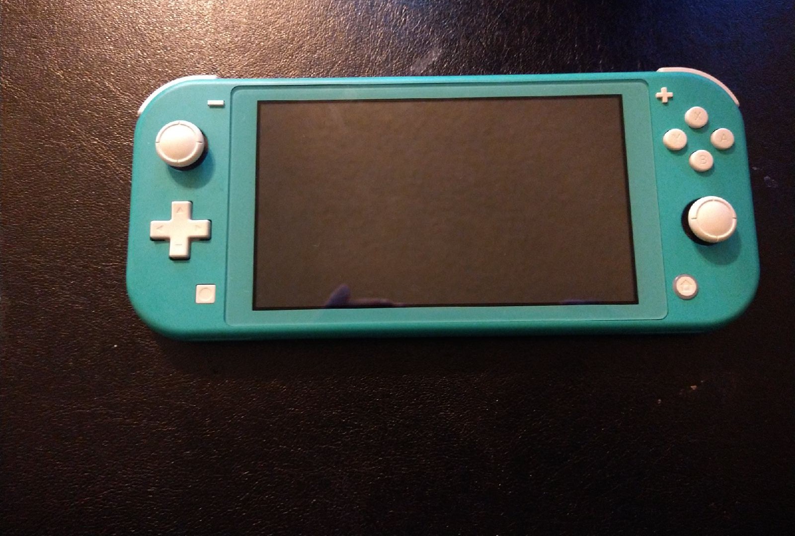Nintendo Switch Lite with carrying case