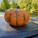 Halloween Scary Rotten Pumpkin Flaming Jack O Lantern