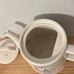 Rae Dunn Tea Pot