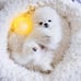 1pc Chicken Shaped Dog Bed Warm Cat Mat, Deep Sleep Cozy -rgi9