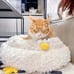 1pc Chicken Shaped Dog Bed Warm Cat Mat, Deep Sleep Cozy -rgi9