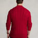 NWT Ralph Lauren Pullover