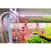 Lily Pipe Set Outflow with Surface Skimmer & Multi-Level Water Intake