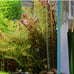 Lily Pipe Set Outflow with Surface Skimmer & Multi-Level Water Intake