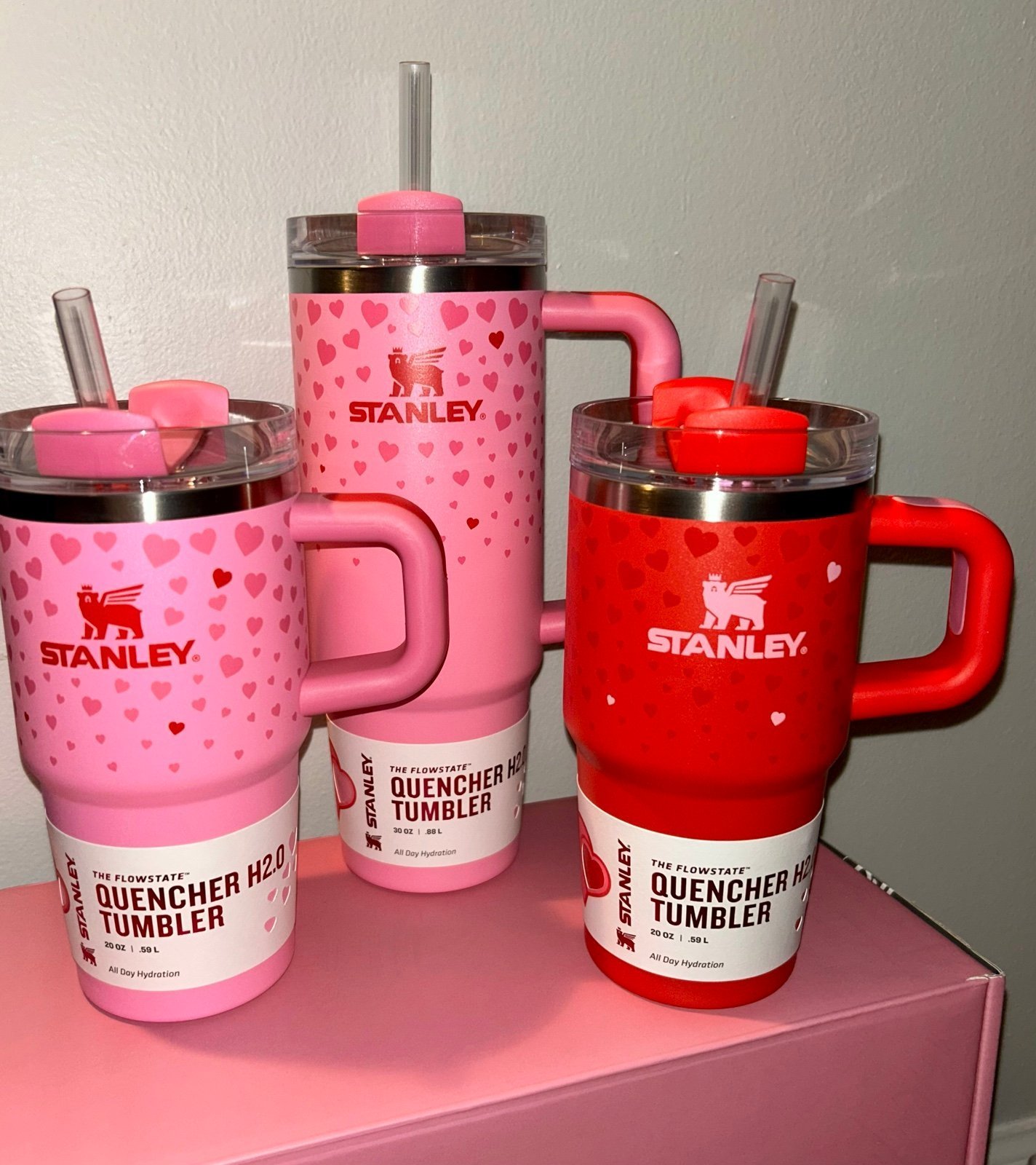 Stanley Valentine’s Tumbler Set of 3 - 20oz & 30oz