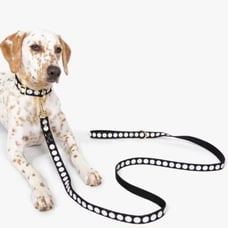 NWT KATE SPADE NEW YORK ART DOTS COLLAR & LEASH -MED/LRG