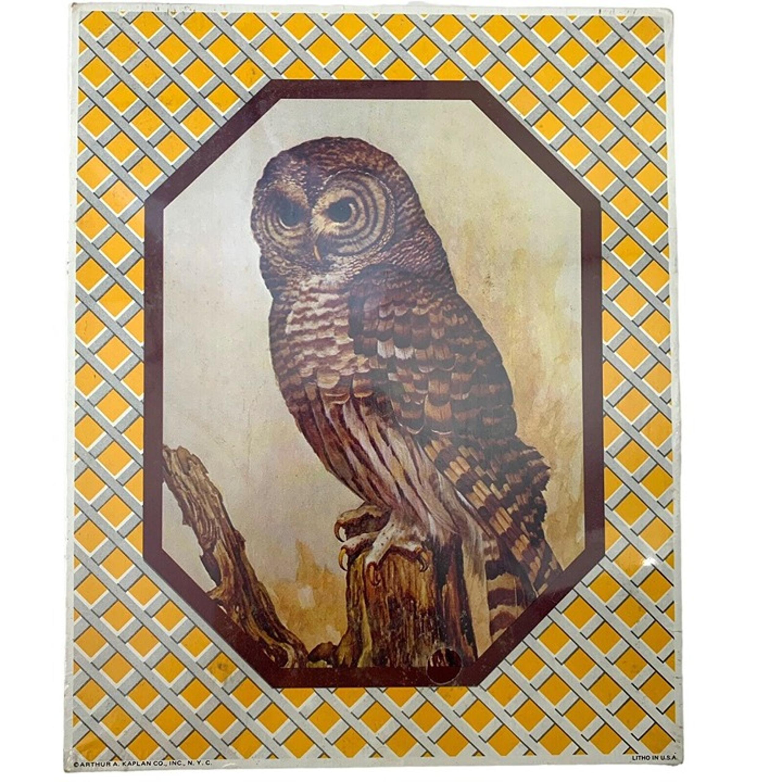 Vintage Wall Plaque 8x10 Action Home Fair Owl Print Made in USA Geometric NEW