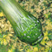 Vintage MCM LE Smith Avocado Green Solitaire 16 Glass Swung Vase