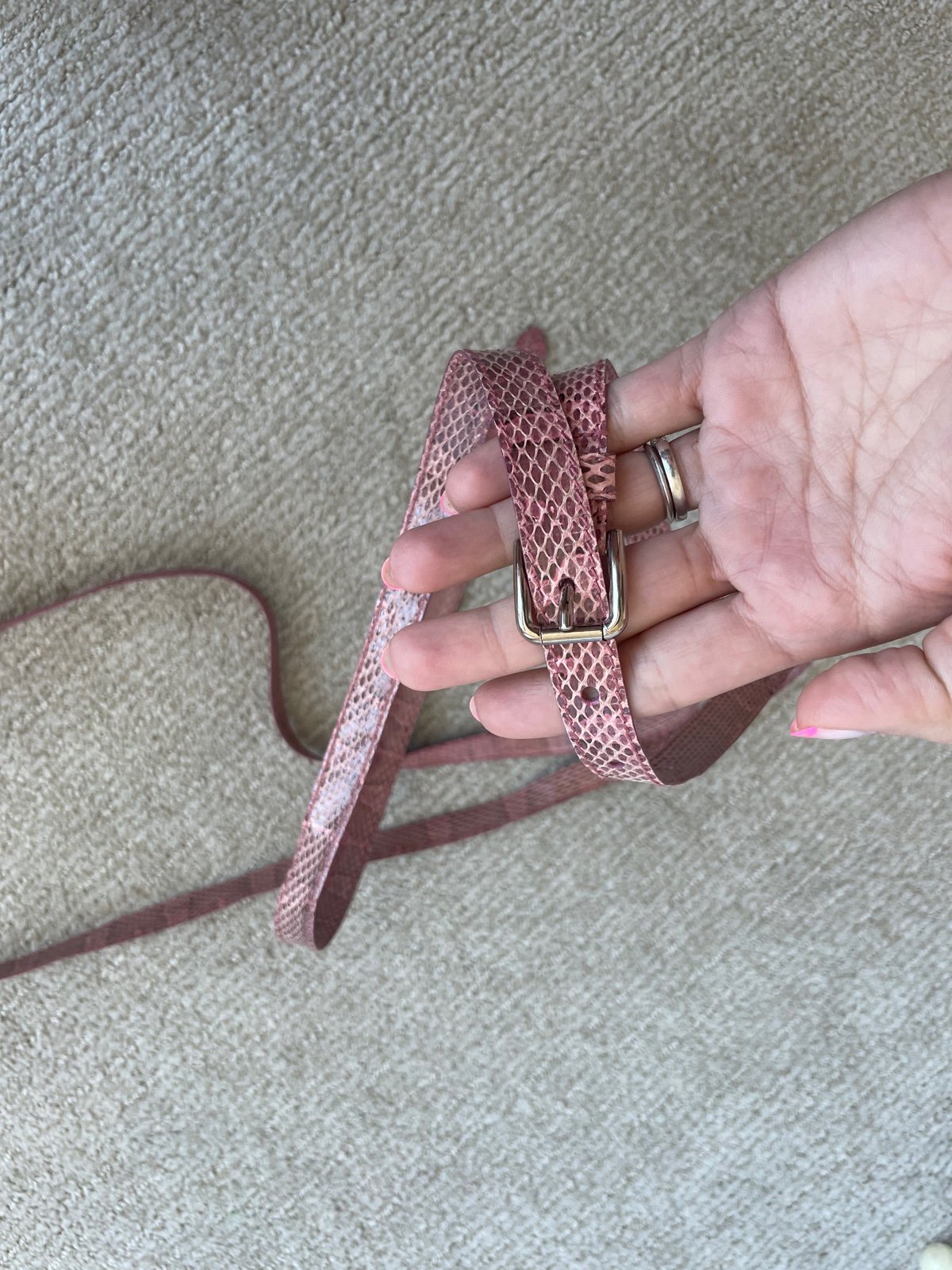 D&G belt