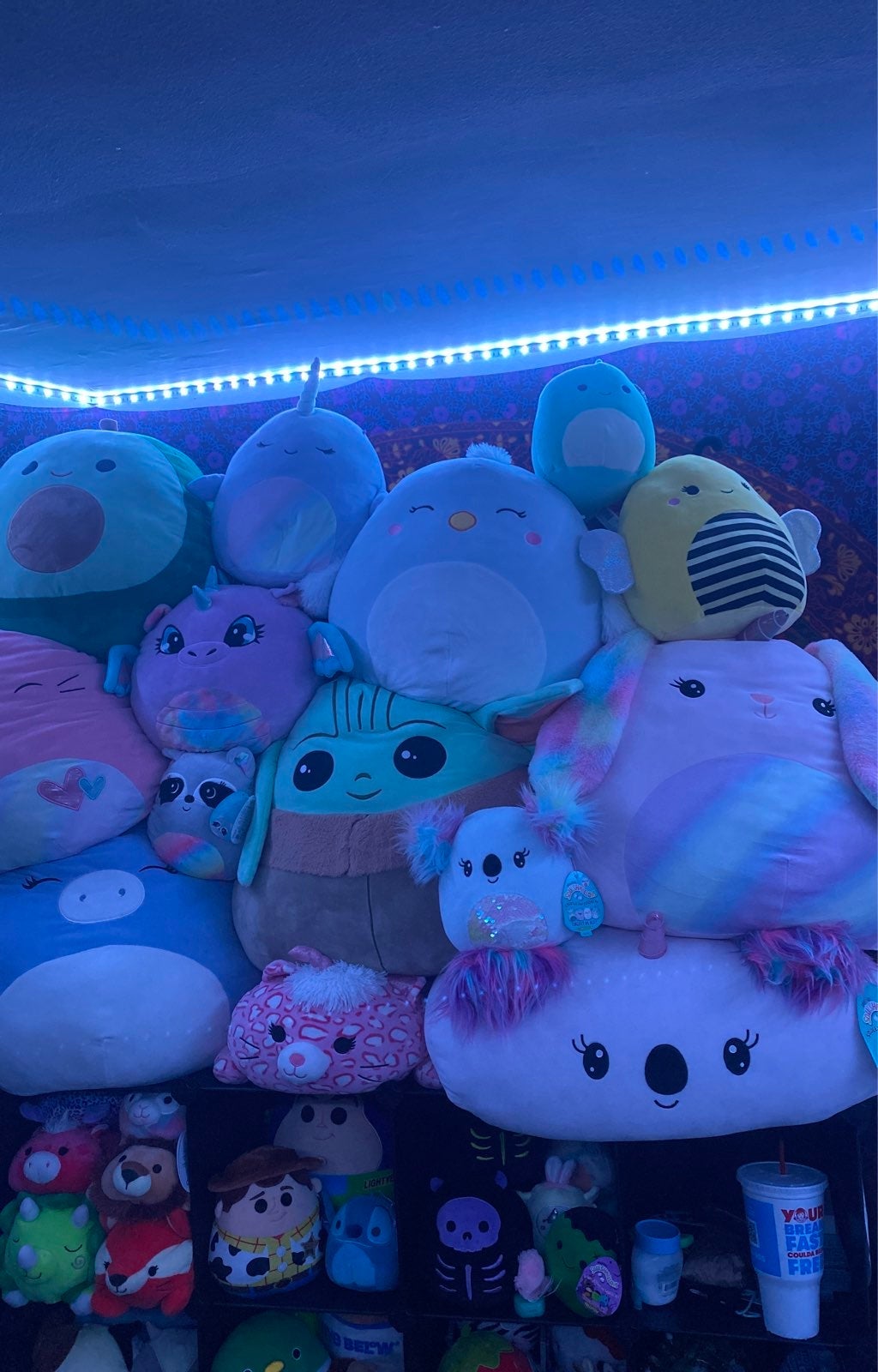 Squishmallow lot