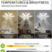 Socket Fan Light