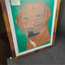 Handmade Framed Colored Pencil Drawing Labrador Retriever Dog