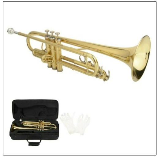 Beginner's Ammoon Bb Trumpet with Case and Gloves