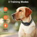 Waterproof Dog Training Collar