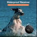 Waterproof Dog Training Collar
