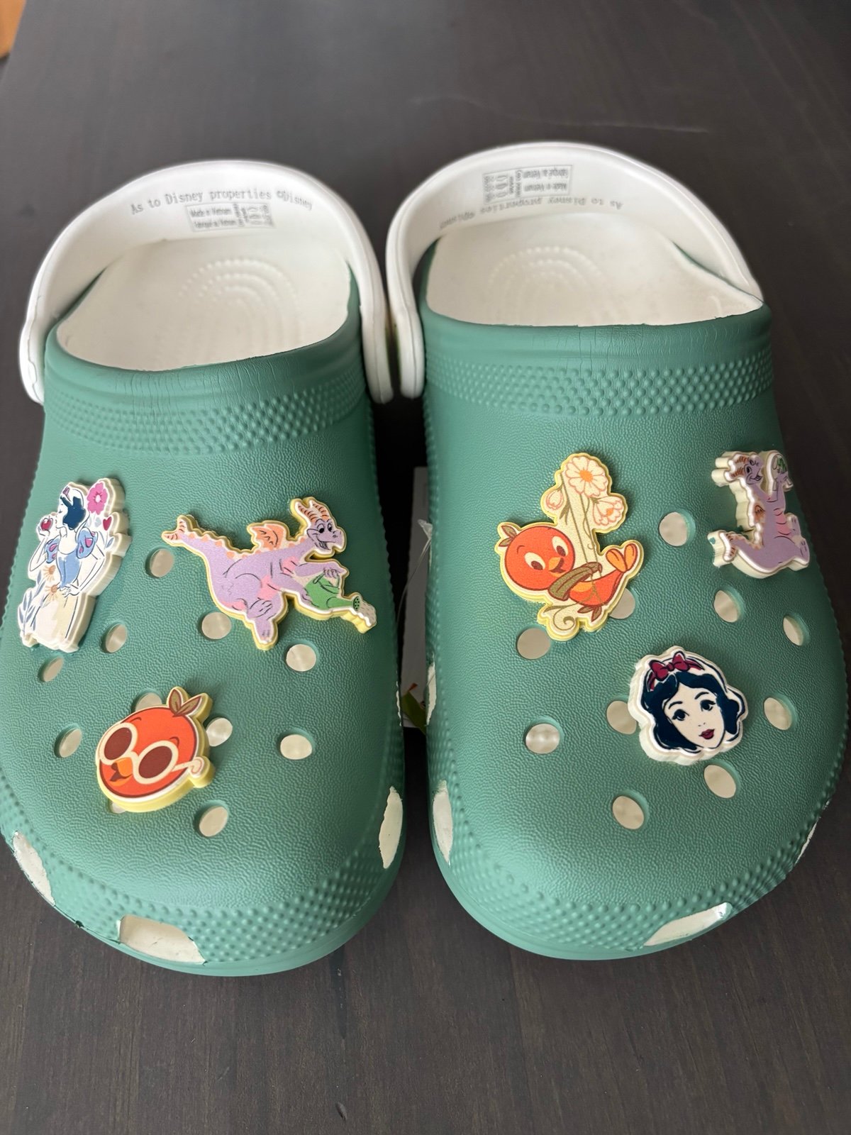 Epcot flower garden Disney Crocs