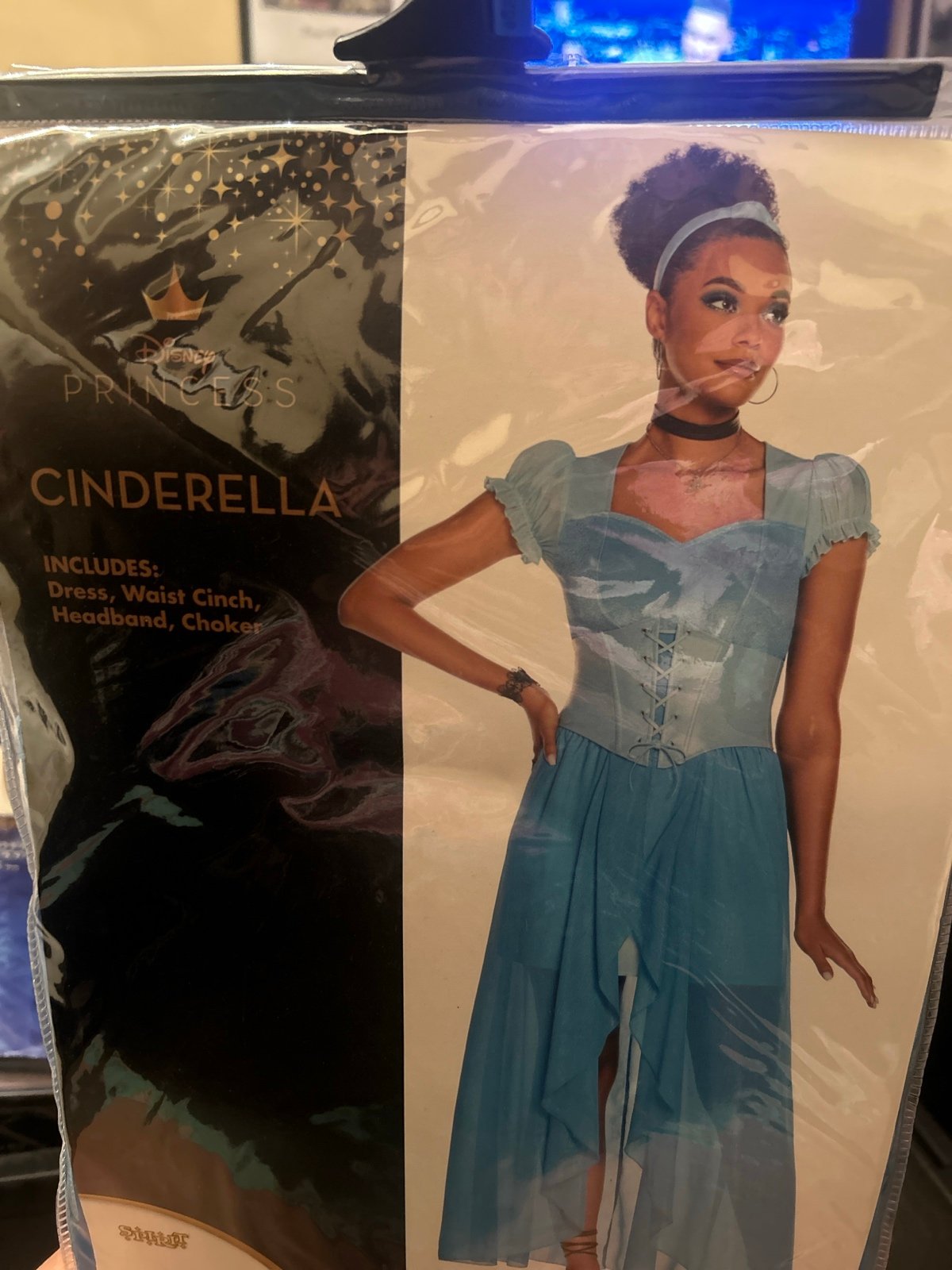 Cinderella costume -Adult Size-XL-Brand New