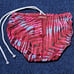 Speedo Men's Competitive Swimwear Racing Briefs [M]