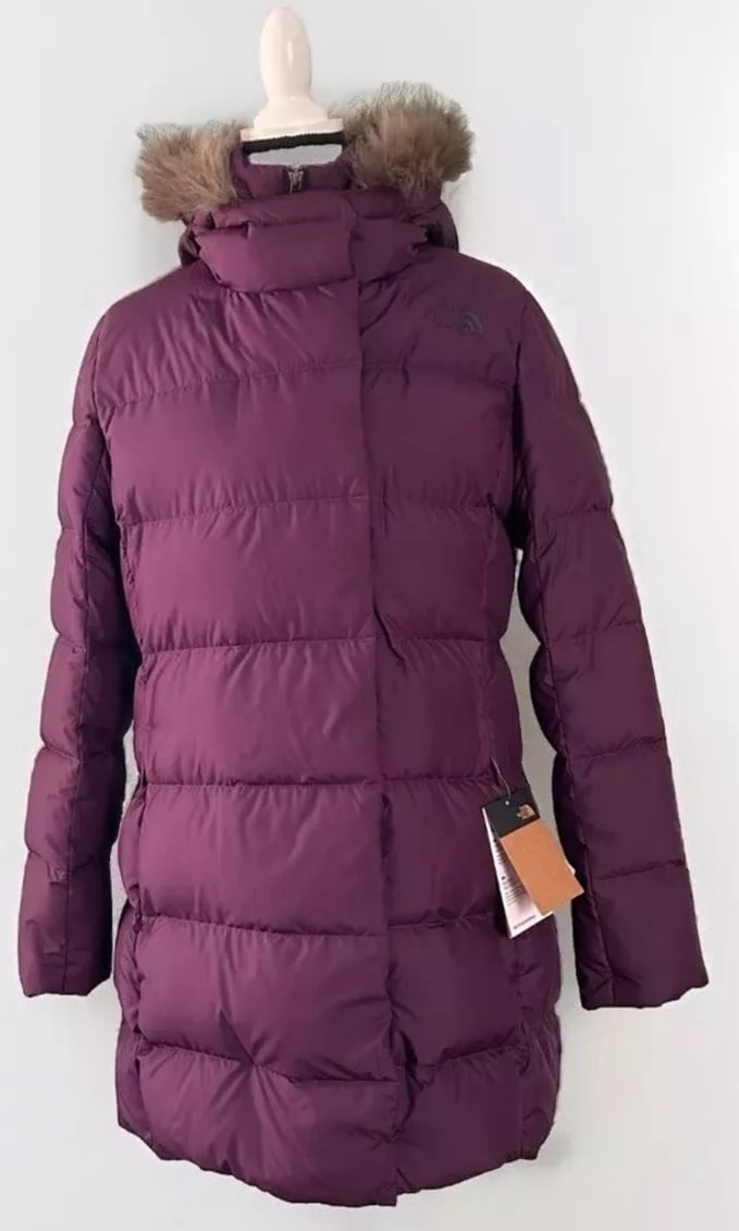 NWT North Face Dealio Parka 550 Goose Down Insulated Size L