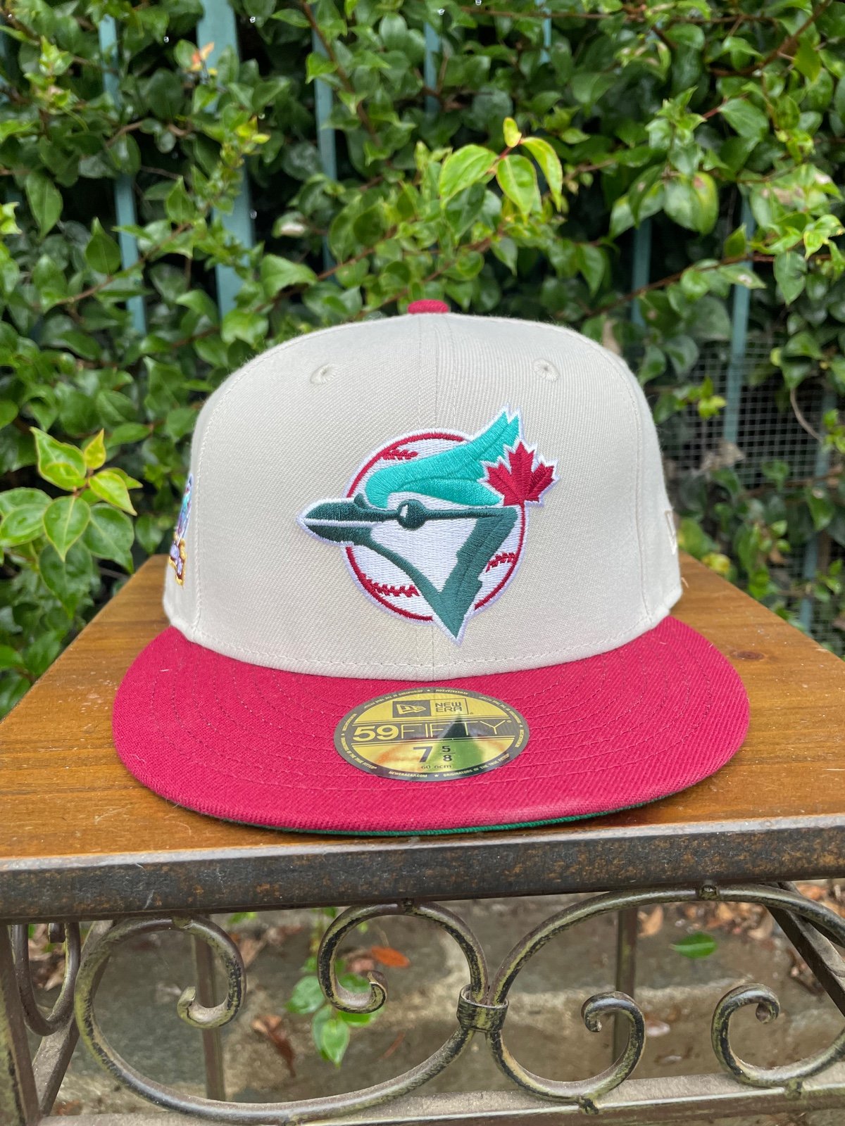 Blue Jays Fitted